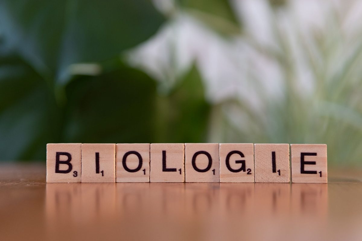 Approche pédagogique et méthodologie